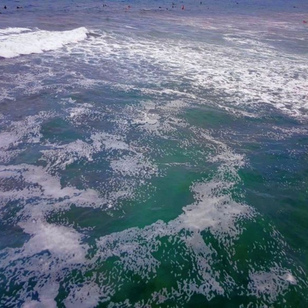 ROUNDED OCEAN WAVES ~ 8" X 10" Photography